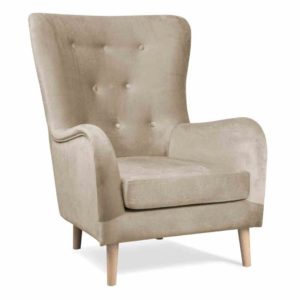 Fauteuil confort pour ehpad, maison de retraite, résidence séniors et résidence autonomie.