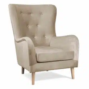 Fauteuil confort pour ehpad, maison de retraite, résidence séniors et résidence autonomie.