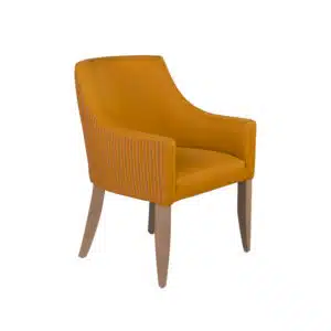 Fauteuil pour personnes âgées en résidence séniors et ehpad.